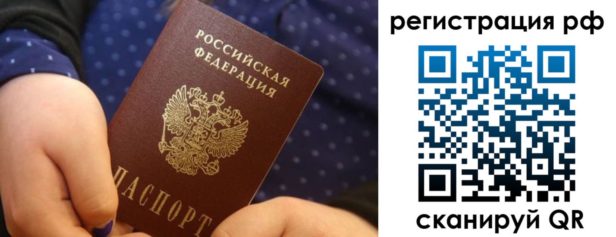 временная регистрация поиск в Камчатском крае