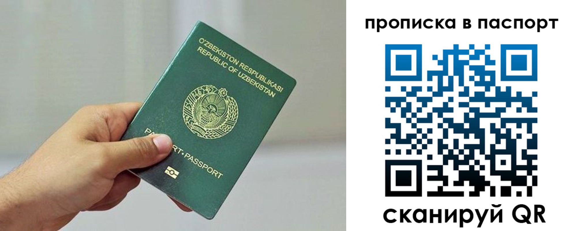 миграционный учет в Камчатском крае
